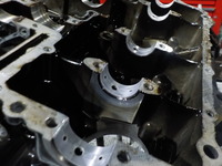 95a22d51.jpg