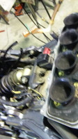 a109f63f.jpg