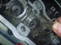 e665e54a.jpg