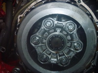 f8b18428.jpg