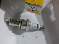 DSCN8026