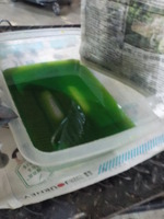 DSCN2895