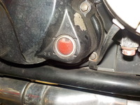 DSCN9101