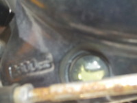 DSCN6558