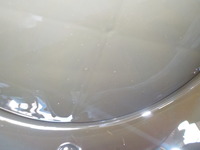 DSCN5647