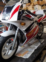 DSCN8746