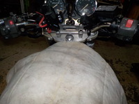 DSCN9889