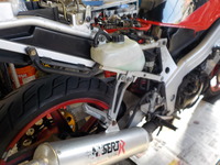 DSCN5579