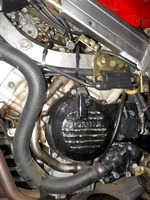 DSCN3870