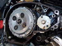 DSCN9685
