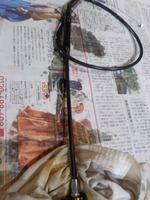 DSCN7969