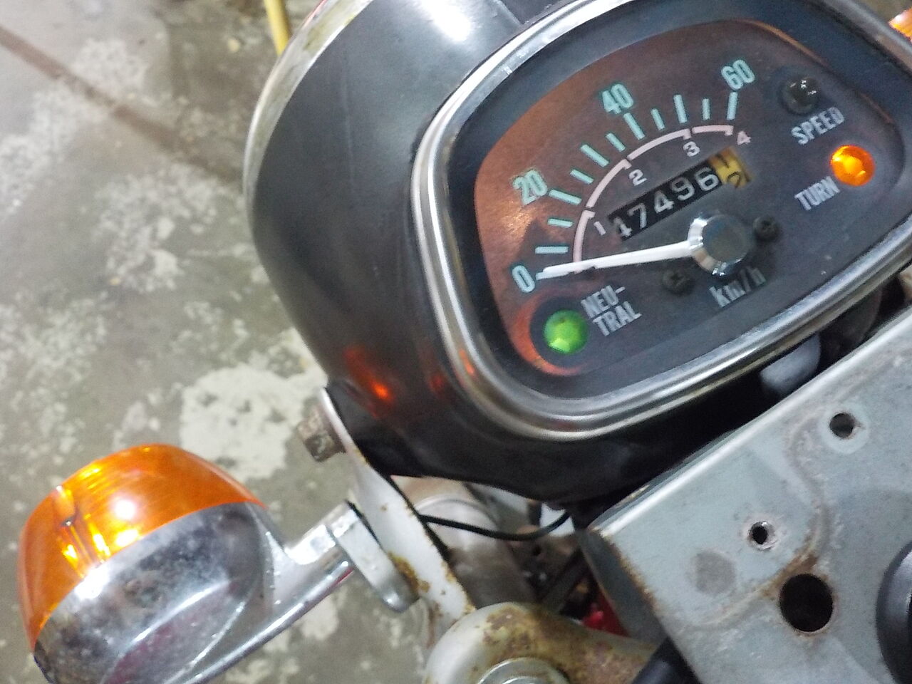 TTU Intrinsic Properties Affecting the Catalytic Activity toward