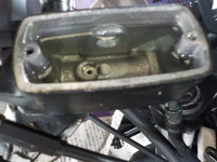 DSCN8920