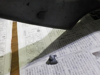 DSCN5888
