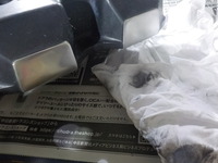 DSCN8467