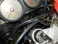 DSCN3702