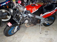 DSCN8603