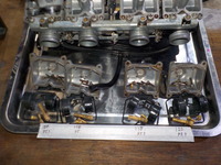 DSCN6505