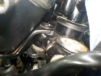 DSCN3666