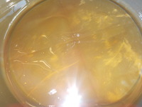 DSCN6098