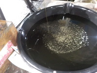 DSCN8879
