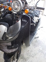 DSCN4971