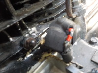 DSCN2505