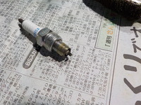 DSCN3566