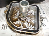 DSCN0684