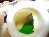 DSCN5874
