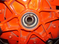 DSCN7349