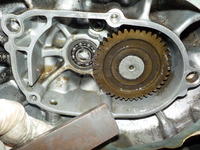 DSCN1140