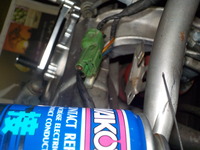 DSCN8088