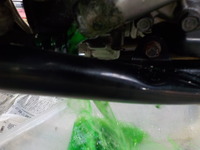 DSCN0527