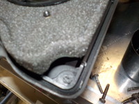DSCN4823