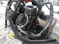 DSCN8203