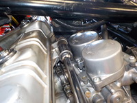 DSCN7698