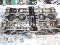 DSCN2500
