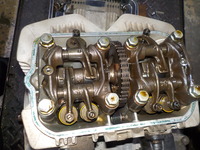 DSCN0528