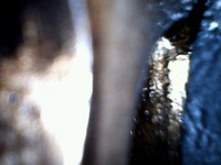 usbcamera20211222185942