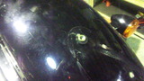 hd-xl883r20120219ws (12)