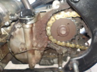 DSCN1951