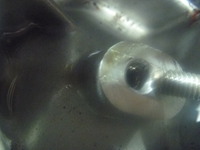 P1020018