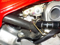 DSCN5631