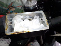 DSCN3591