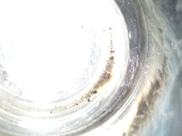 DSCN9262
