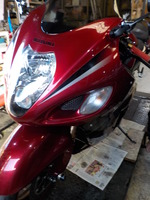 DSCN0923