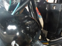 DSCN3613
