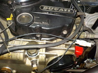 DSCN6008