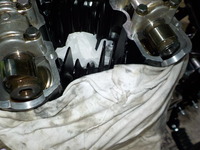DSCN6770